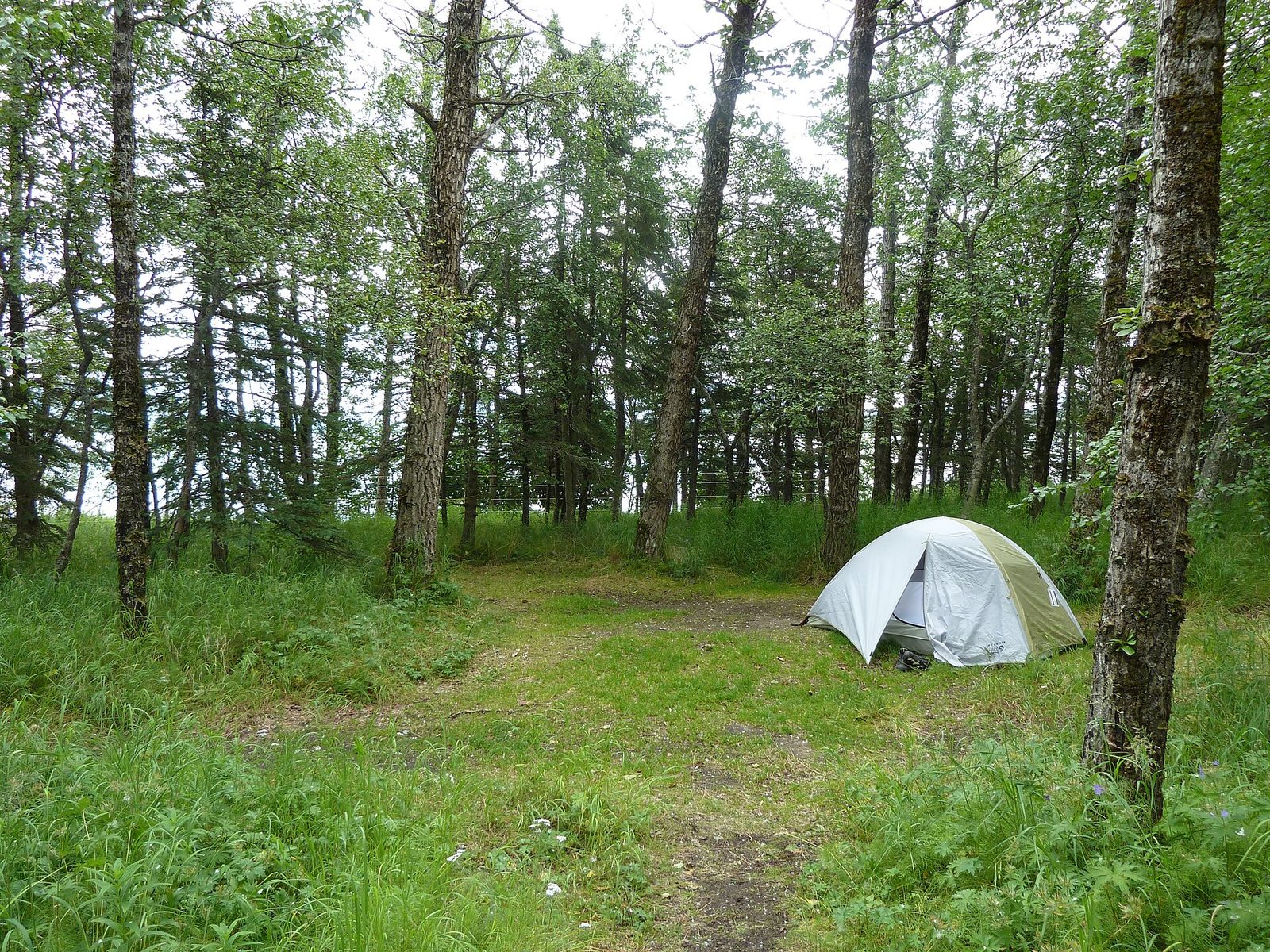 Tält och husbilar på en campingplats nära kusten på Kreta